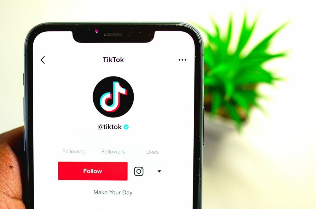 Tiktok Influencer Marketing in Delaware