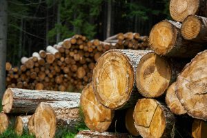 Digital Marketing services For Lumber Companies
